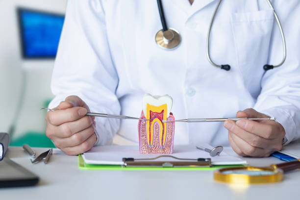 Best Dental Abscess Treatment in Van Horn, TX